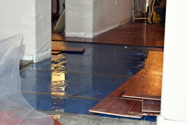 Professional Basement Flood Cleanup technician working in Warden, WA